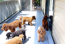 ���O�X�y�[�X