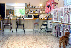 ���Ɏ���