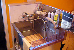 �o�X���[��